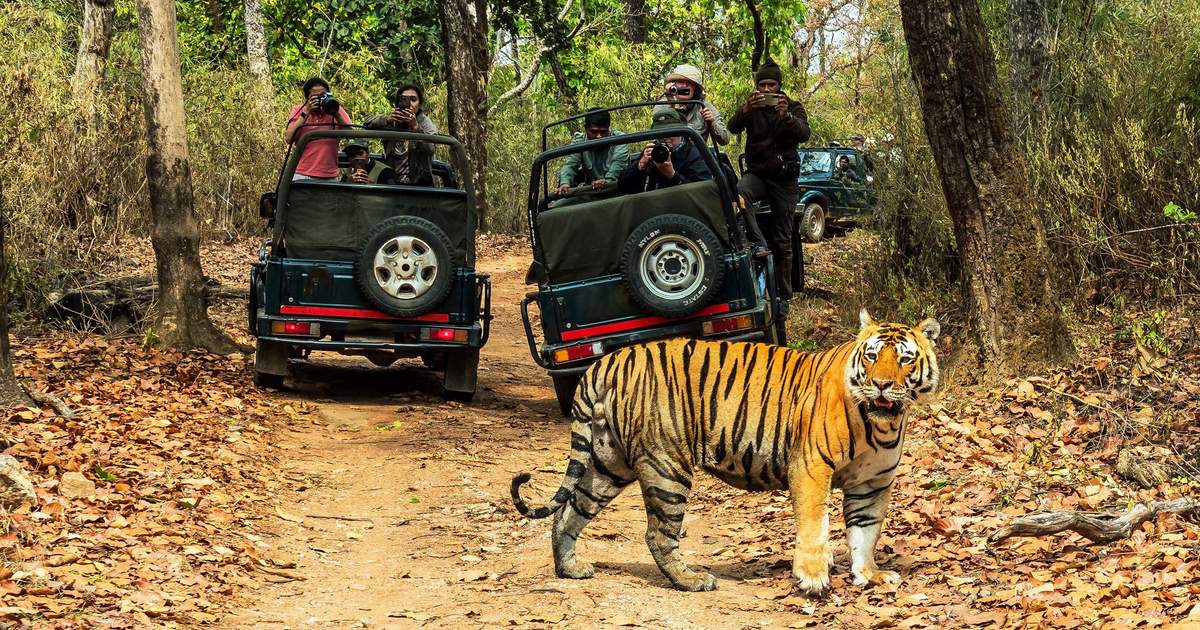 Group Tour