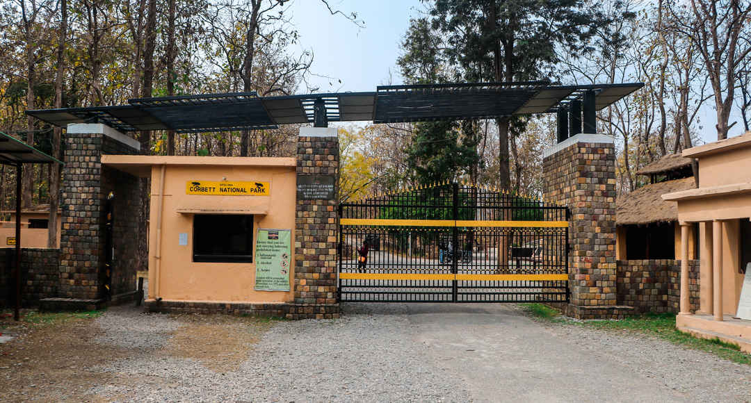 Jim Corbett Safari 2