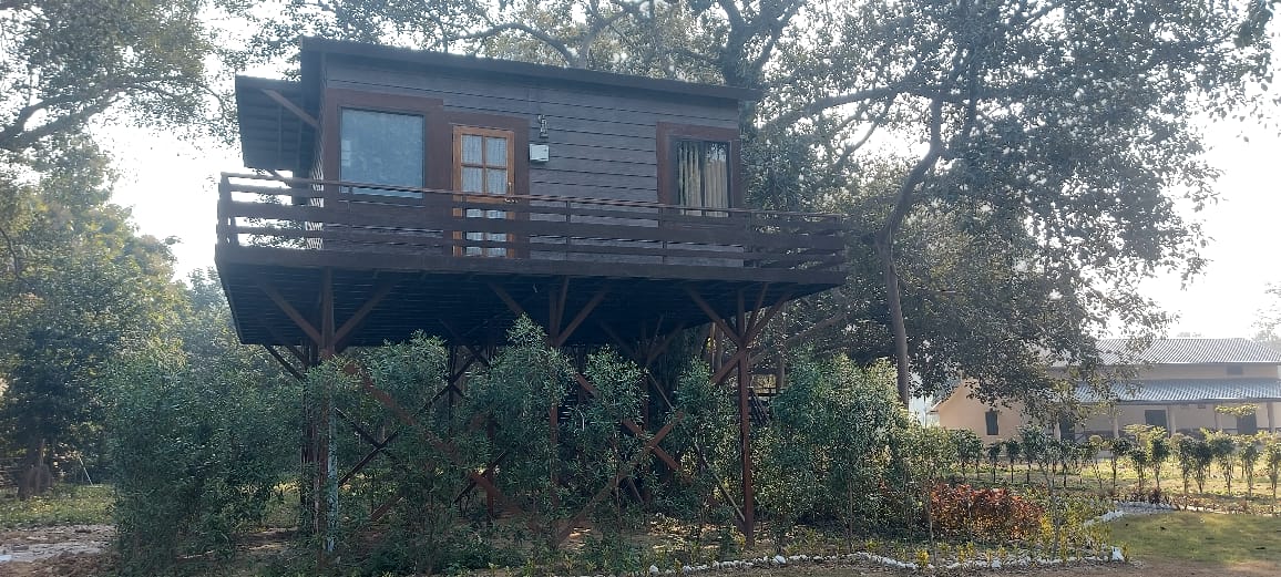 Jim Corbett Safari 4