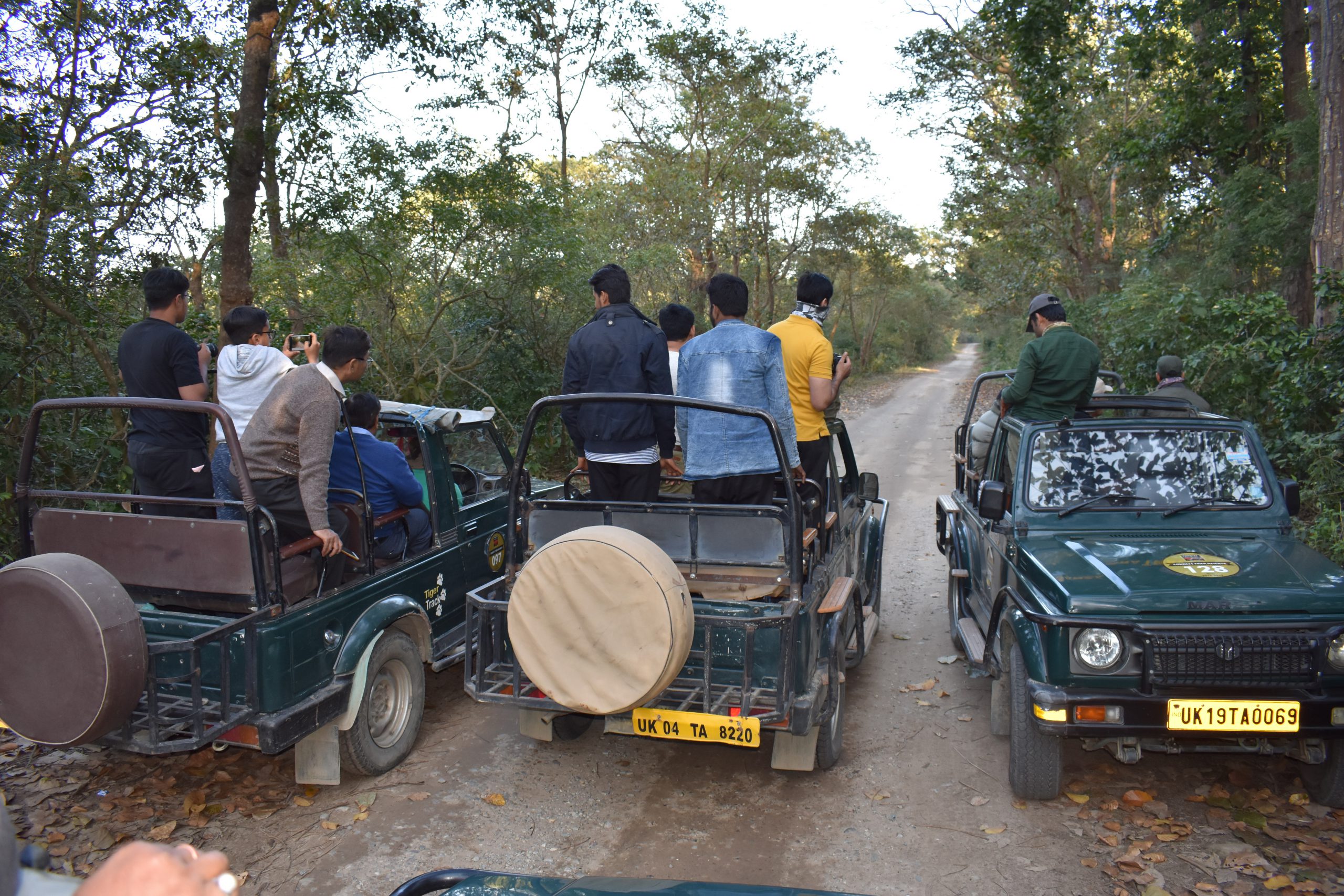 Jeep Safari